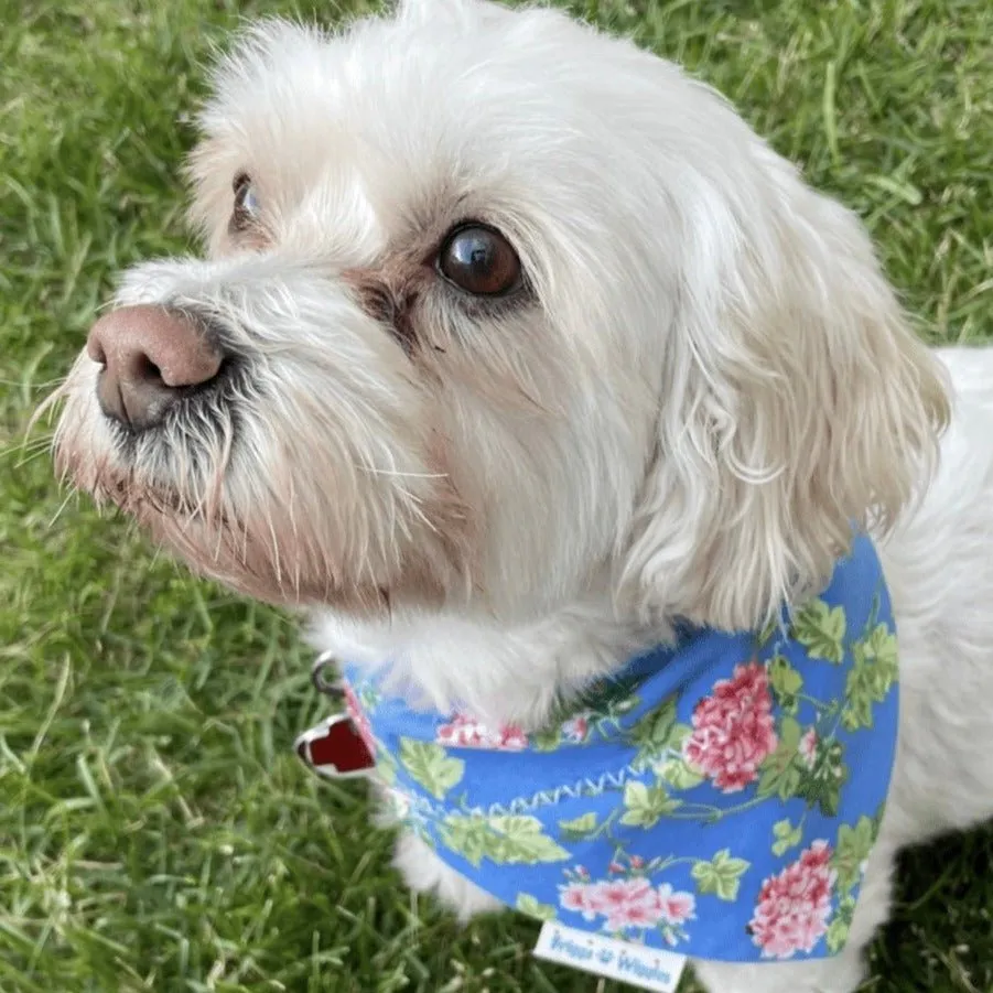 Blue Garden Party Dog Bandana