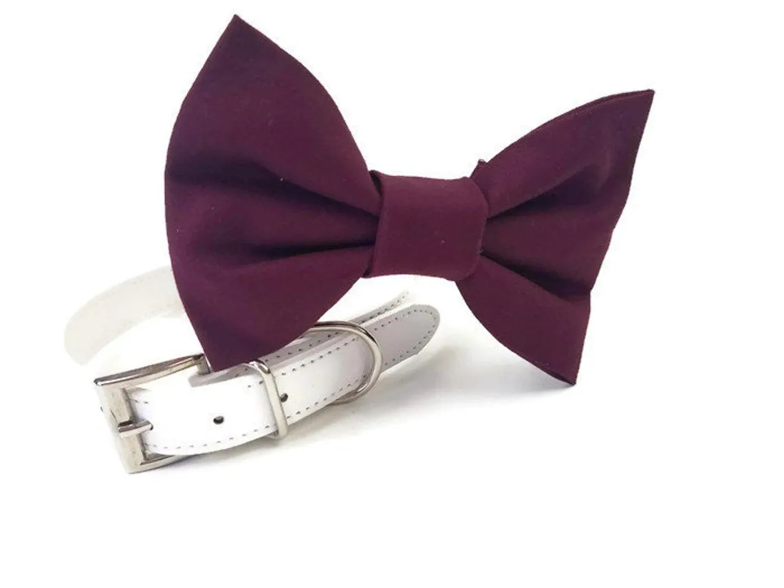 Bowtie Collar | Cabernet