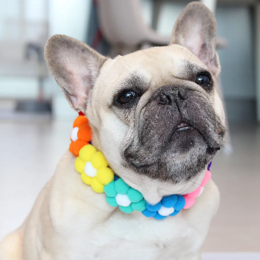 Flower Power Collar