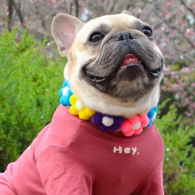 Flower Power Collar