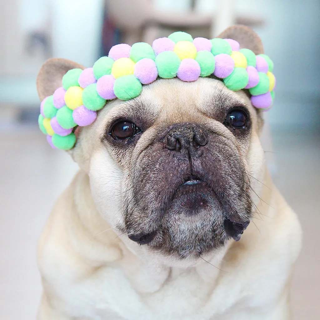 Flower Power Collar