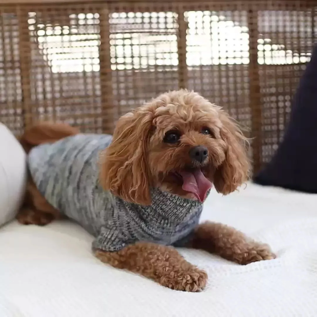 Hazy Grey Roll Neck Dog Jumper