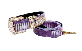 Luxury Pet Fashion Purple/Silver Multi-Tone Snakeskin Collar & Leash Set  With Our Swarovski Crystal Hardware