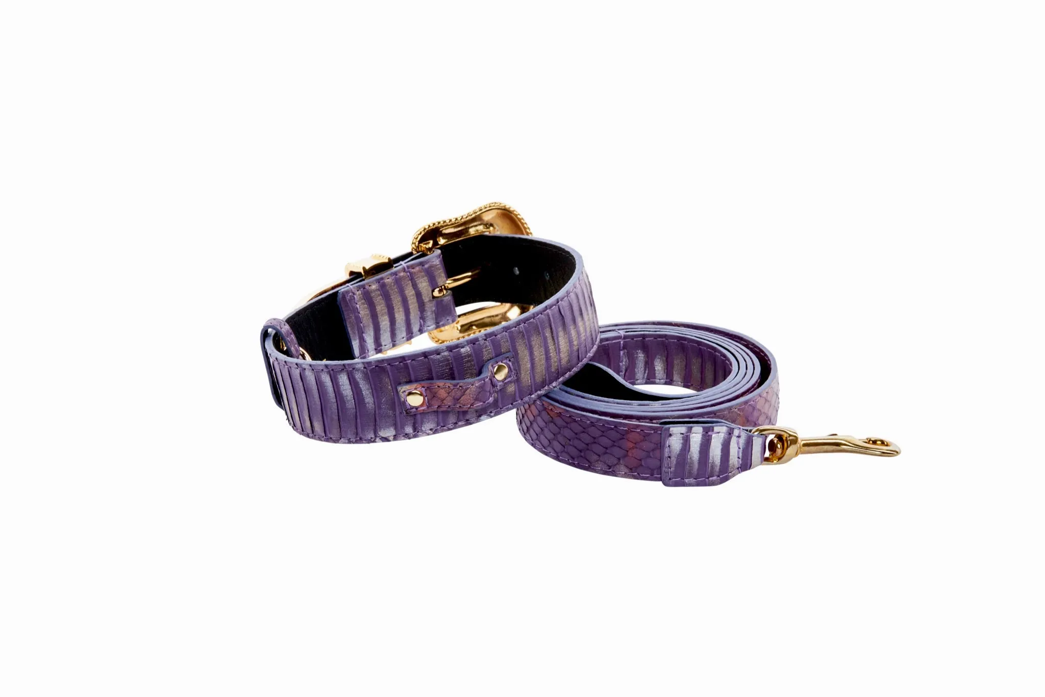 Luxury Pet Fashion Purple/Silver Multi-Tone Snakeskin Collar & Leash Set  With Our Swarovski Crystal Hardware