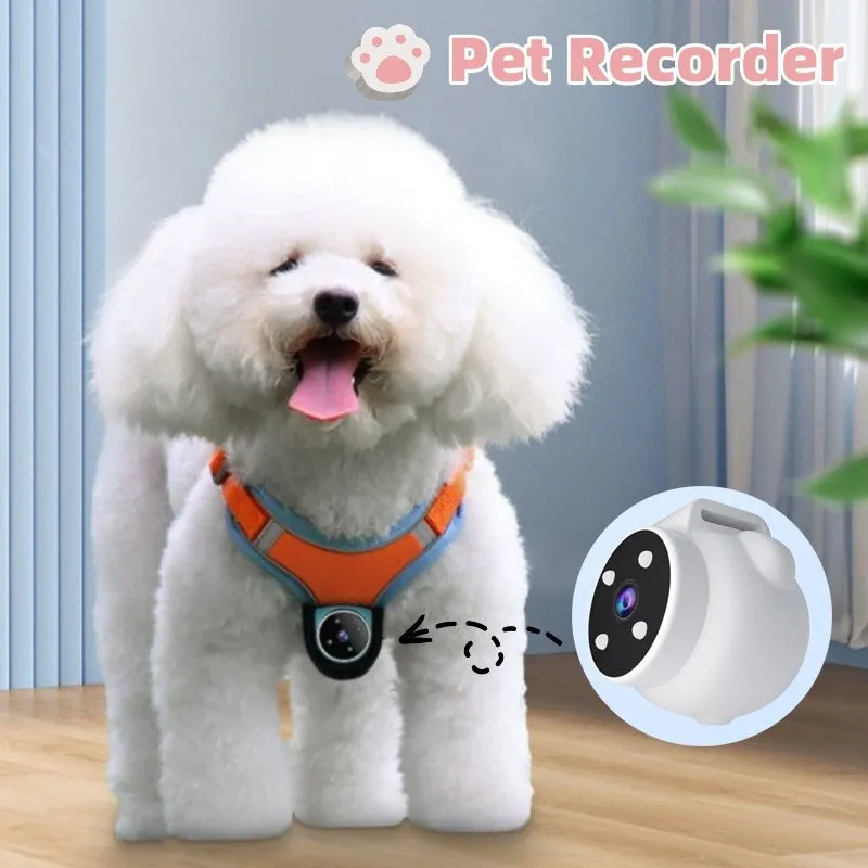 Pet Tracker Collar Dogs And Cats  Recording Camera